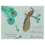 Peacock Feathers Wedding Program 2 flyers