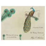 Peacock Feathers Wedding Program 3 Full Color Flyer