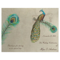 Peacock Feathers Wedding Program 4 Custom Flyer