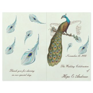 Peacock Feathers Wedding Program flyer