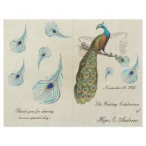 Peacock Feathers Wedding Program Full Color Flyer
