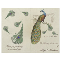 Peacock Feathers Wedding Program Flyer