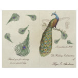 Peacock Feathers Wedding Program flyers