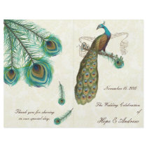 Peacock Feathers Wedding Program on Damask Personalized Flyer