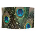 Peacock Feather artistic with rock binder