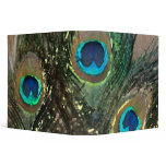 Peacock Feathers with Rocks binders