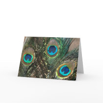 Peacock Feathers with Rocks Card