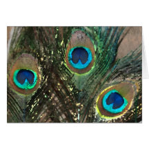 Peacock Feathers with Rocks Card
