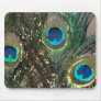 Peacock Feathers with Rocks Mousepads