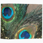 Peacock Feathers with Rocks Vinyl Binder