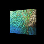 Peacock Feathers Wrapped Canvas