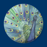 Peacock Fridge Magnet magnets