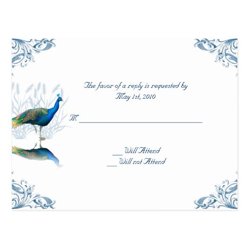 Peacock Garden in Blue and White Post Card