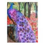 Peacock Garden postcards