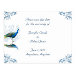 Peacock Garden Save the Date Post Cards
