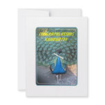 "Peacock Graduate" cards