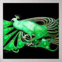 PEACOCK ,green grey black Posters