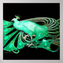 PEACOCK ,green grey black Print