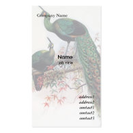 Peacock,Green Peafowl, Pavo muticus, 1872 monograp Business Card Templates