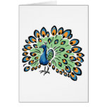 Peacock Greeting Card