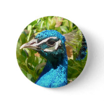 peacock head buttons by pinkypetals peacock head buttons