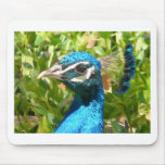 peacock head mouse pad