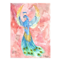 Peacock in Flight posters