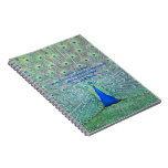 Peacock in Full Plumage Display Photography Spiral Notebook