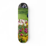 Peacock In Park Skateboard Deck
