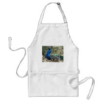 peacock in shrubs aprons