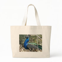 peacock in shrubs canvas bags