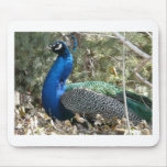 peacock in shrubs mouse pads