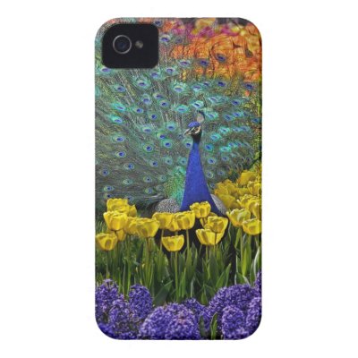 Peacock in Tulips Iphone 4 Case