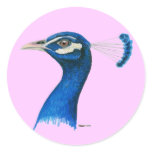 Peacock:  Indian Blue Round Sticker