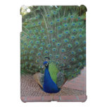 Peacock iPad Mini Case