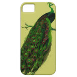 Peacock iPhone 5 Covers