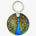 Peacock Keychain by Lenny46824 Peacock Keychain