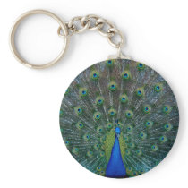 Peacock, keychain