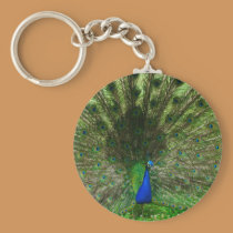 peacock Keychain keychains