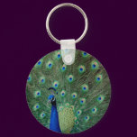 Peacock, keychain