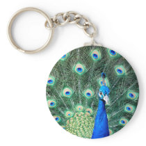 Peacock, keychain