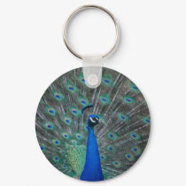 Peacock keychain by nwillens Peacock keychain