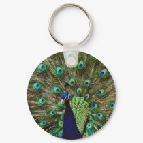 Peacock keychains