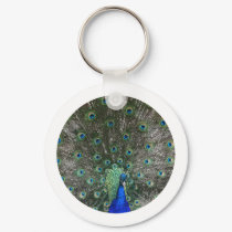 Peacock keychains by BisforBirds Peacock keychains