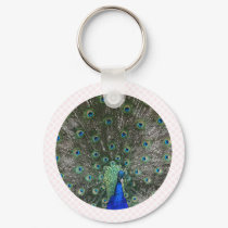Peacock keychains by BisforBirds Peacock keychains