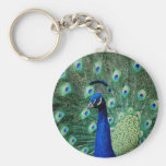 Peacock, keychain
