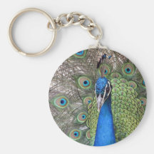 Peacock Keychain