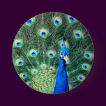 Peacock, large button
