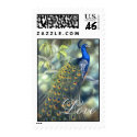 Peacock Love Stamp by Laura_Regan_Artist Peacock Love Stamp