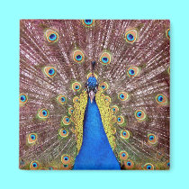 Peacock magnets by Artists4God Peacock magnets